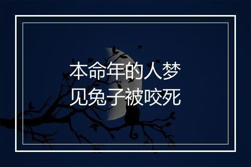 本命年的人梦见兔子被咬死