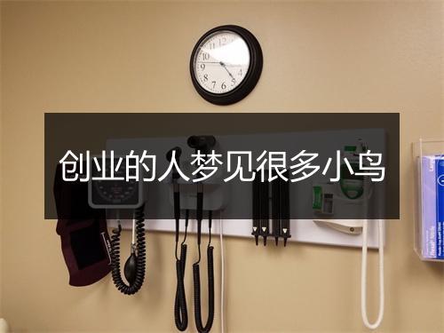 创业的人梦见很多小鸟