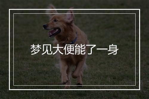 梦见大便能了一身