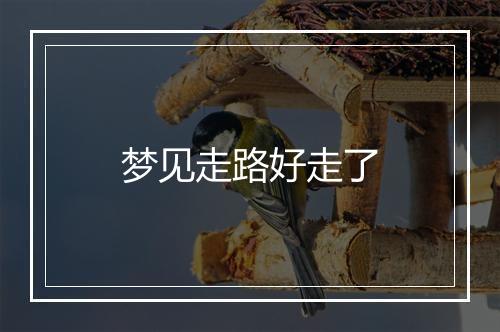 梦见走路好走了