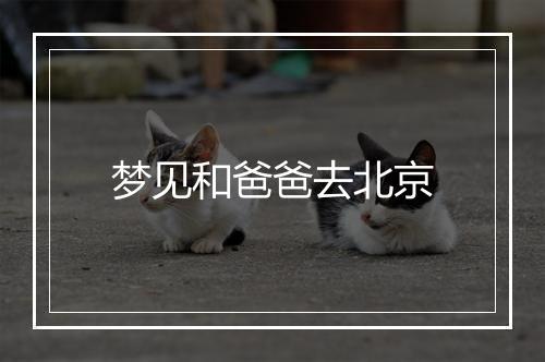 梦见和爸爸去北京