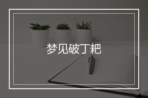 梦见破丁耙