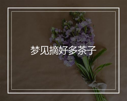 梦见摘好多茶子