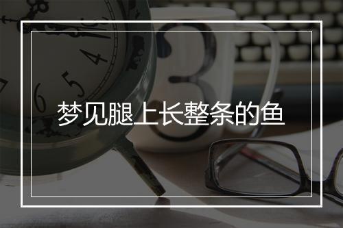 梦见腿上长整条的鱼