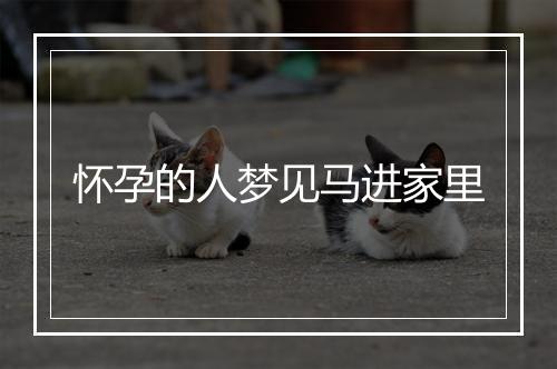 怀孕的人梦见马进家里