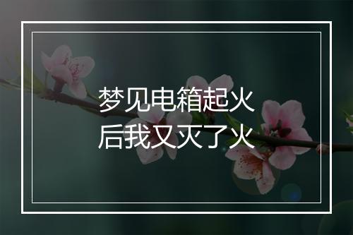 梦见电箱起火后我又灭了火