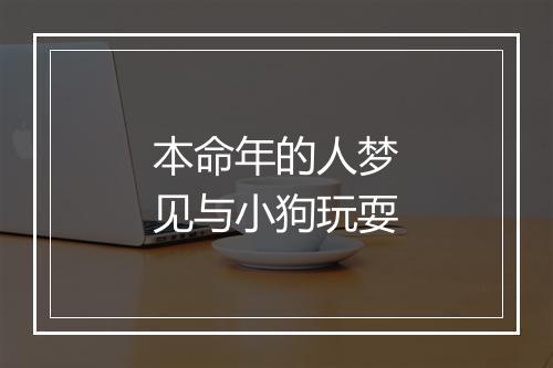 本命年的人梦见与小狗玩耍