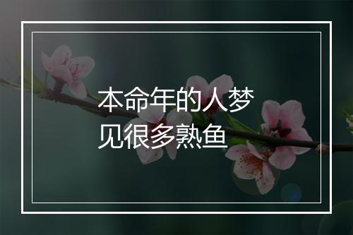 本命年的人梦见很多熟鱼