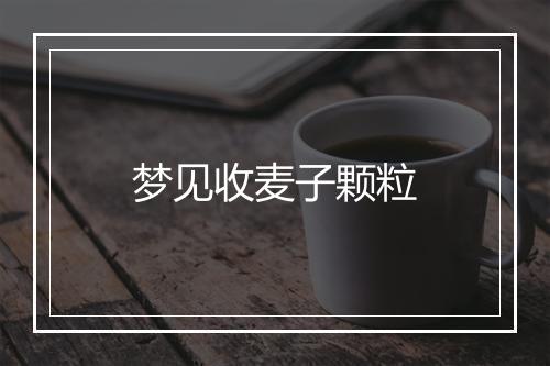 梦见收麦子颗粒