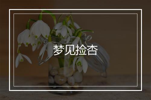 梦见捡杏