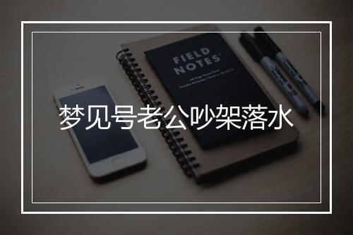 梦见号老公吵架落水