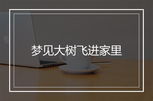 梦见大树飞进家里