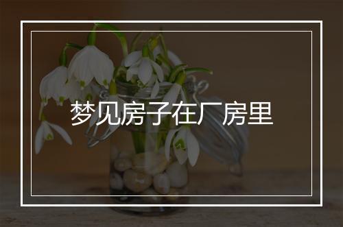 梦见房子在厂房里