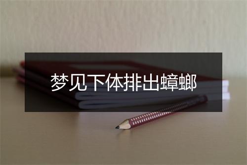 梦见下体排出蟑螂