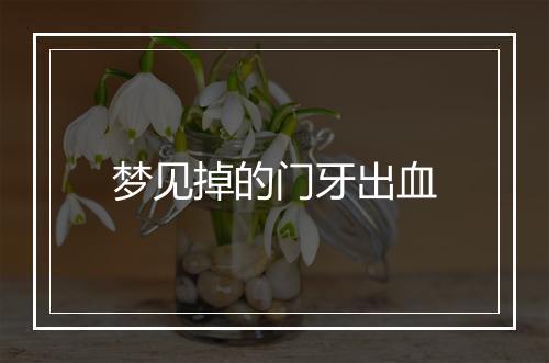 梦见掉的门牙出血