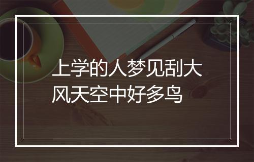 上学的人梦见刮大风天空中好多鸟