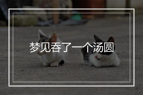 梦见吞了一个汤圆