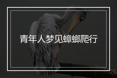 青年人梦见蟑螂爬行