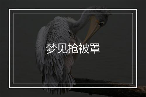 梦见抢被罩