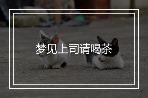 梦见上司请喝茶