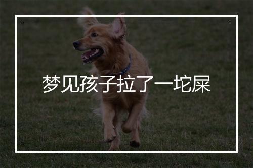 梦见孩子拉了一坨屎