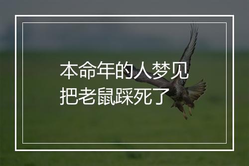 本命年的人梦见把老鼠踩死了