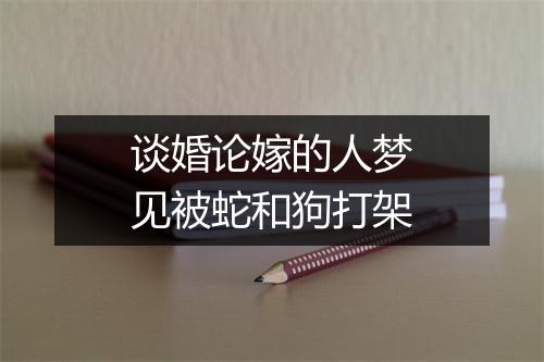 谈婚论嫁的人梦见被蛇和狗打架