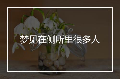 梦见在侧所里很多人