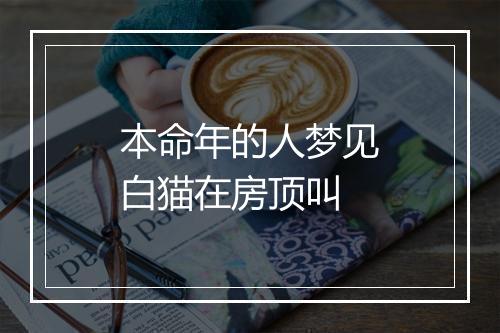 本命年的人梦见白猫在房顶叫