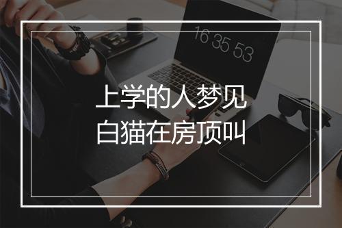 上学的人梦见白猫在房顶叫