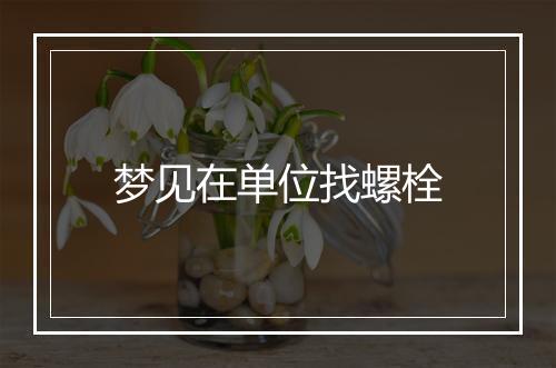 梦见在单位找螺栓