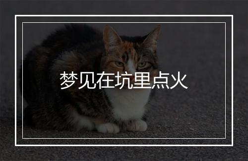 梦见在坑里点火