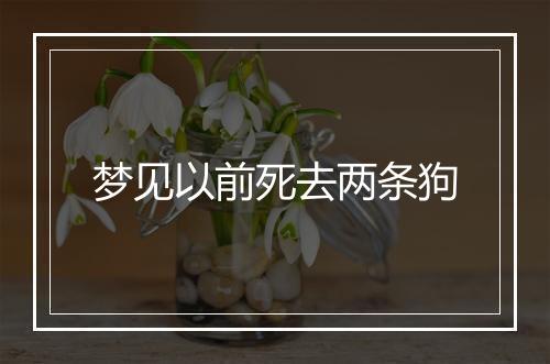 梦见以前死去两条狗