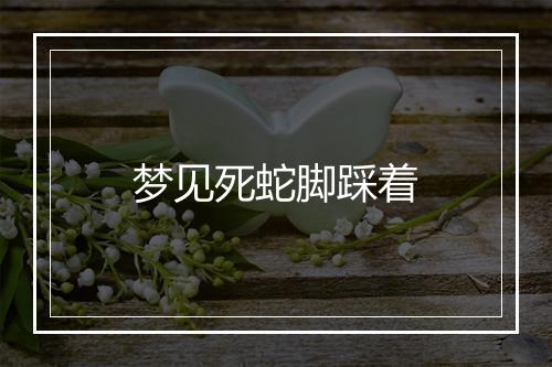 梦见死蛇脚踩着