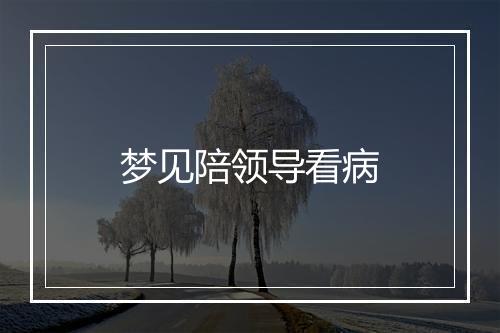 梦见陪领导看病