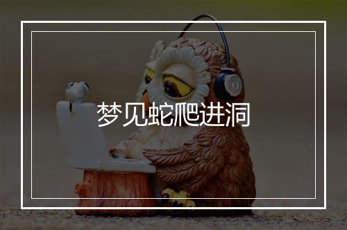 梦见蛇爬进洞