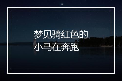 梦见骑红色的小马在奔跑