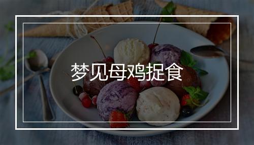 梦见母鸡捉食