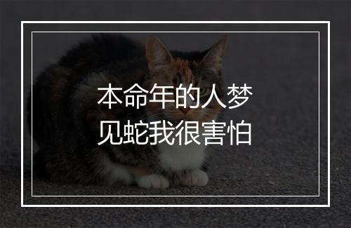 本命年的人梦见蛇我很害怕