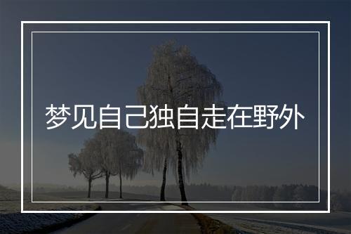 梦见自己独自走在野外