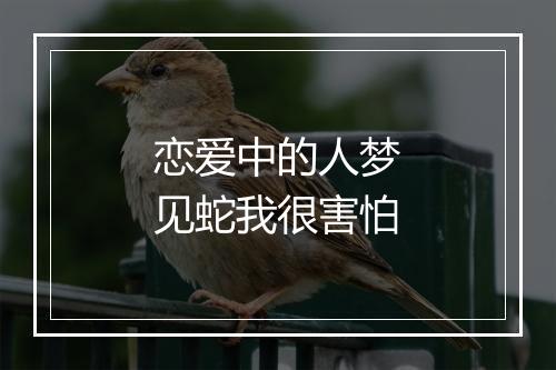 恋爱中的人梦见蛇我很害怕