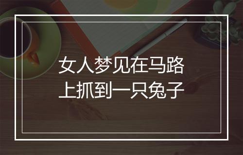 女人梦见在马路上抓到一只兔子