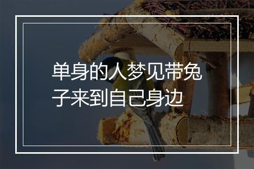 单身的人梦见带兔子来到自己身边