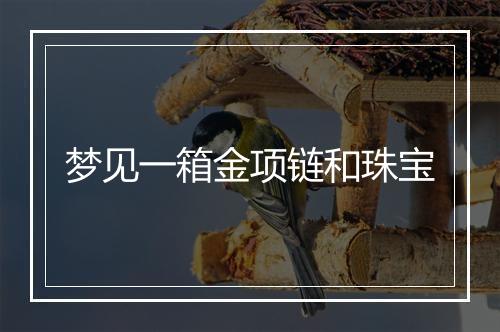 梦见一箱金项链和珠宝