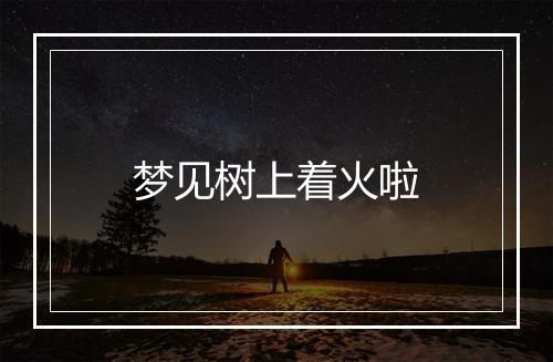 梦见树上着火啦