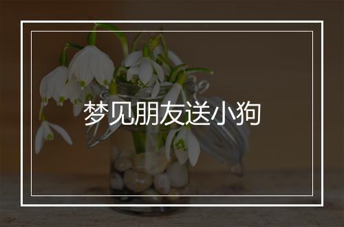 梦见朋友送小狗