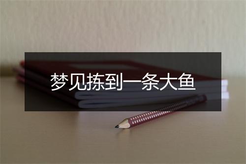 梦见拣到一条大鱼