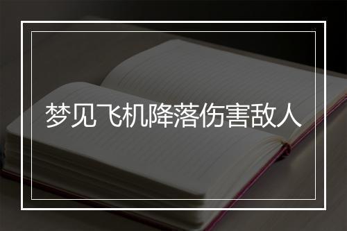 梦见飞机降落伤害敌人