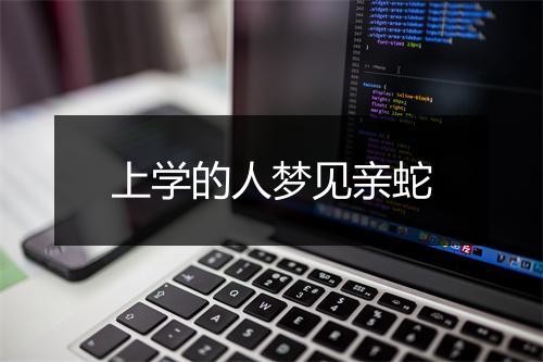 上学的人梦见亲蛇