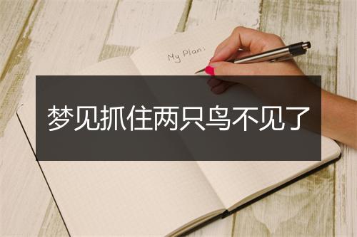 梦见抓住两只鸟不见了